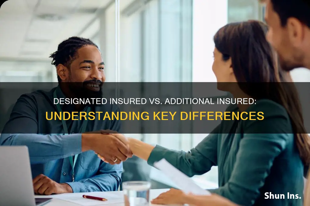 is designated insured the same as additional insured