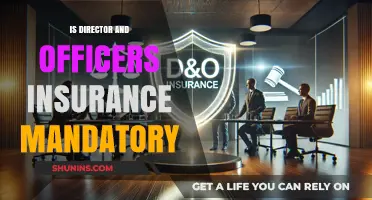 Is Directors and Officers Insurance Mandatory for Your Business?