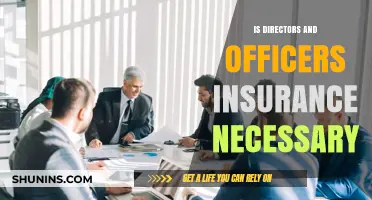 Is Directors and Officers Insurance a Must-Have for Your Business?