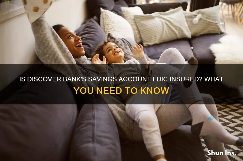is discove saving insured