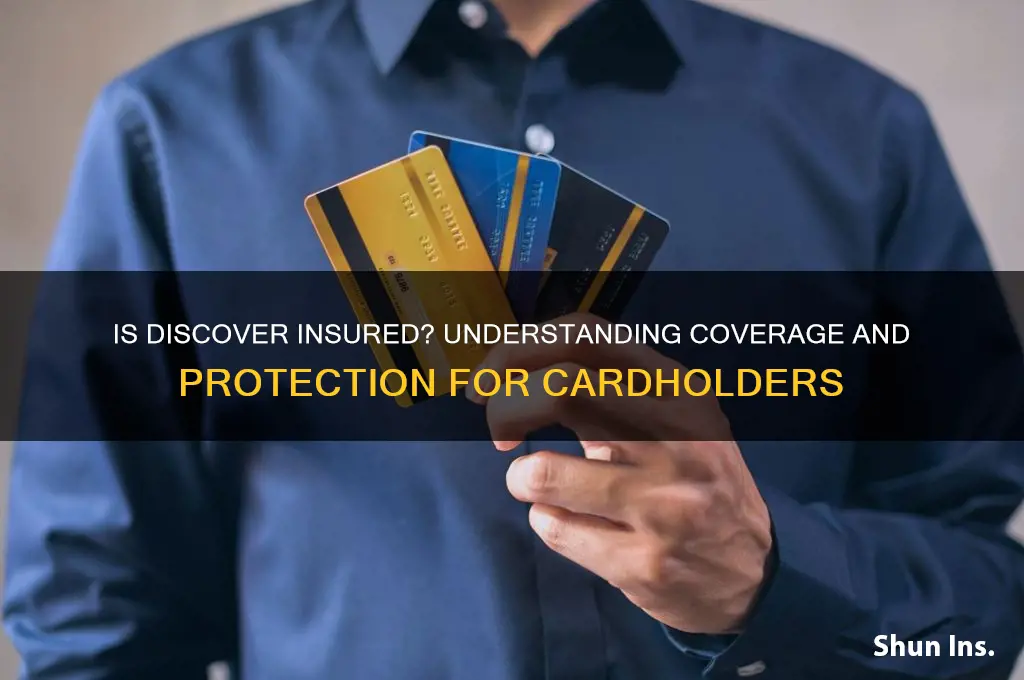 is discover insured