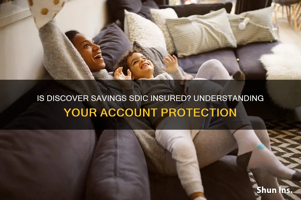 is discover savings sdic insured