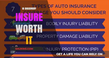 Discover Insure: Is It Worth the Hype?