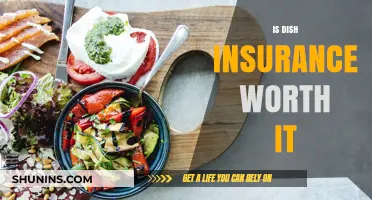 Dish Insurance: Worth the Cost?