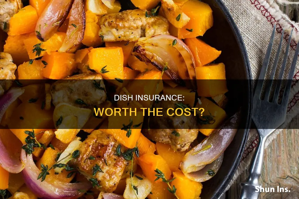 is dish insurance worth it
