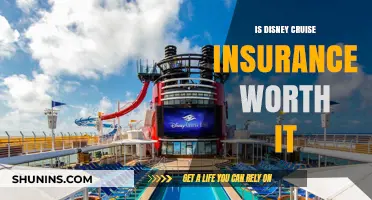Disney Cruise Insurance: Is It Worth the Extra Cost?