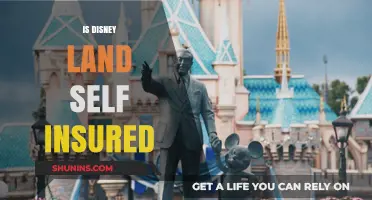 Is Disneyland Self-Insured? Uncovering the Theme Park's Risk Management Strategy