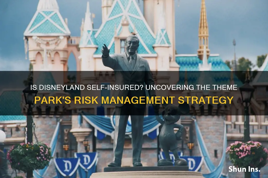 is disney land self insured