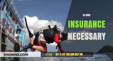 Is Dive Insurance Necessary? Exploring the Risks and Benefits