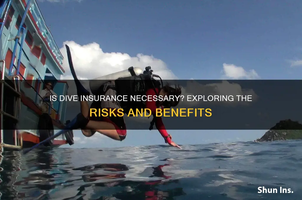 is dive insurance necessary
