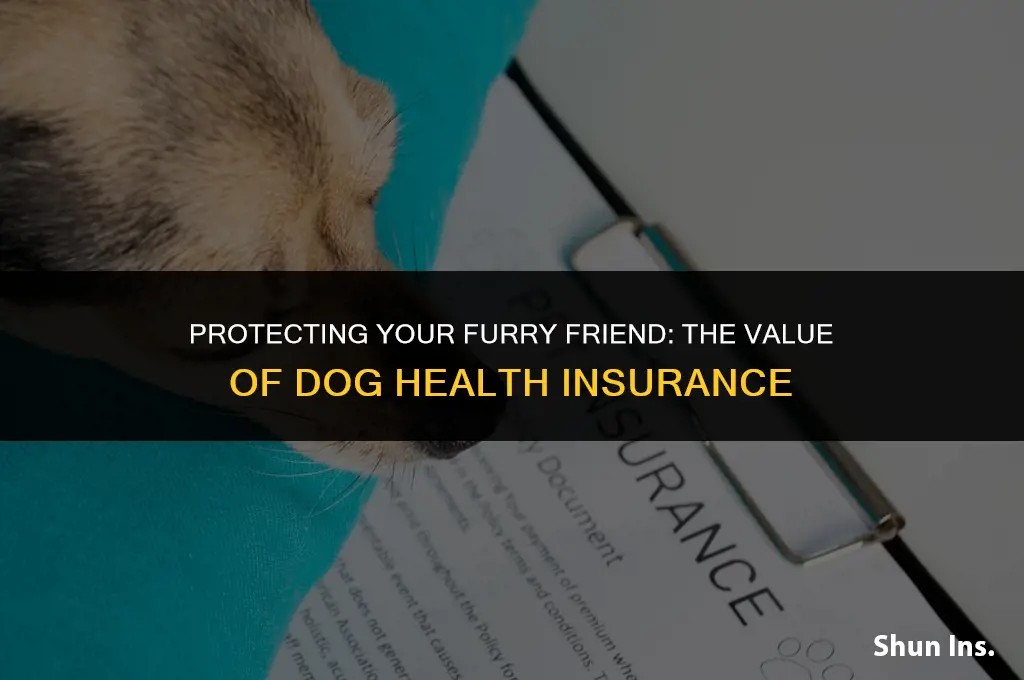 is dog health insurance worth it