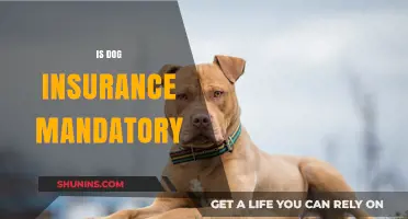Is Dog Insurance Mandatory? Understanding Legal Requirements and Benefits