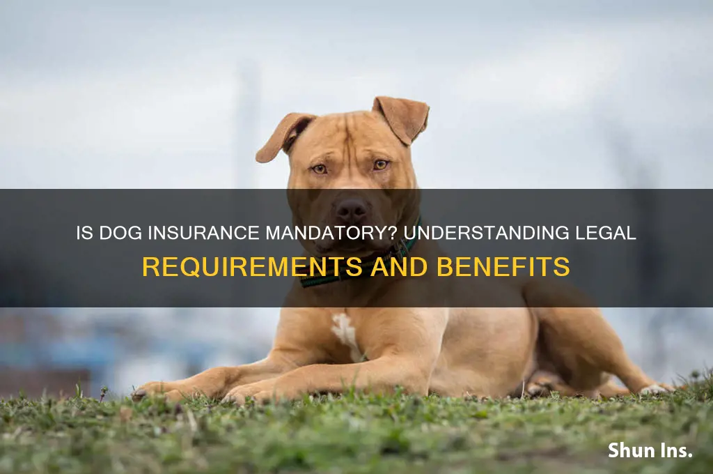 is dog insurance mandatory