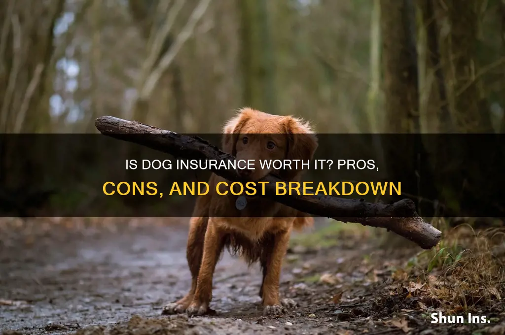 is dog insurance owrth it