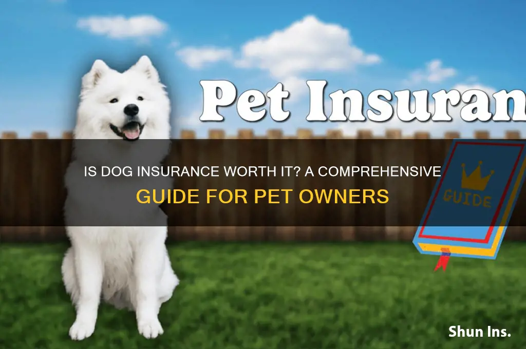 is dog insurance