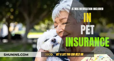 Dog Medication Coverage: Understanding Your Pet Insurance Options
