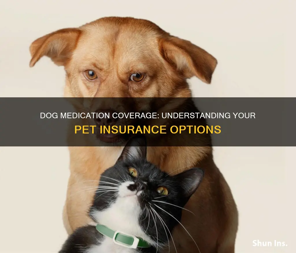 is dog medication included in pet insurance