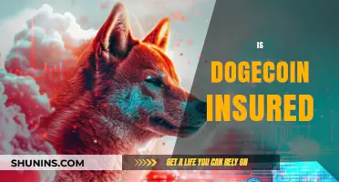 Is Dogecoin Insured? Exploring Risks and Protections for Investors