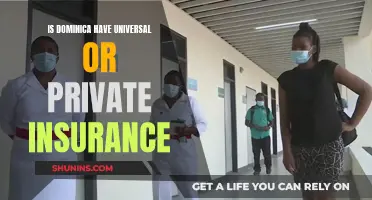 Dominica's Healthcare: Universal or Private Insurance?