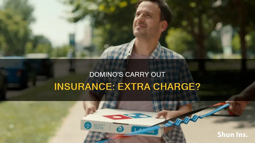 is dominos carry out insurance an extra charge