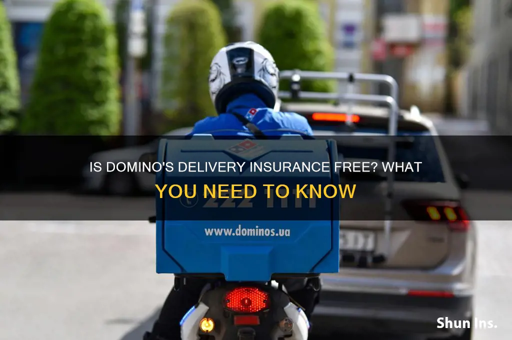 is domino