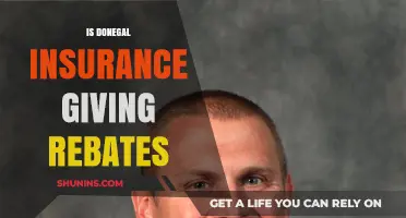 Donegal Insurance Rebates: What Policyholders Need to Know Now