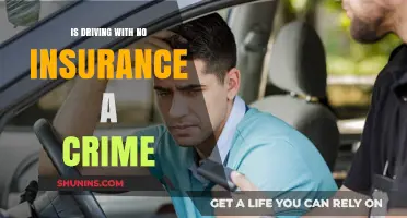 Driving Without Insurance: Legal Consequences and Criminal Penalties Explained