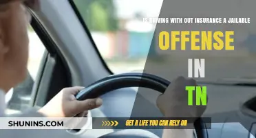 Driving Without Insurance in TN: Jail Time or Just a Fine?