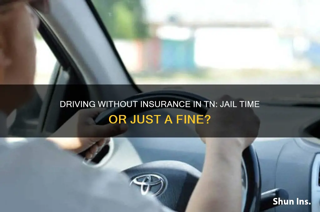 is driving with out insurance a jailable offense in tn