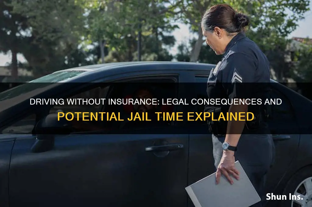 is driving with out insurance a jailable offense