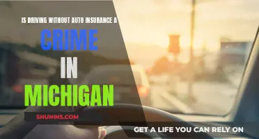 Driving Uninsured in Michigan: Is It a Crime?