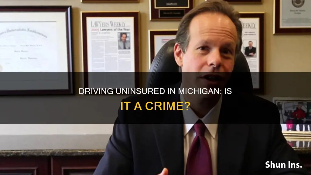 is driving without auto insurance a crime in Michigan