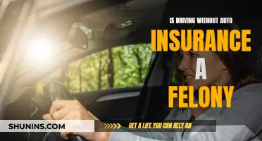 Driving Without Auto Insurance: Felony or Misdemeanor?