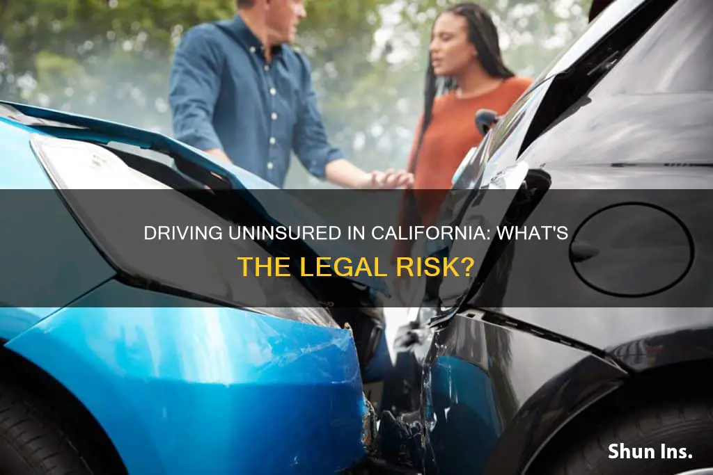 is driving without auto insurance an offence in California