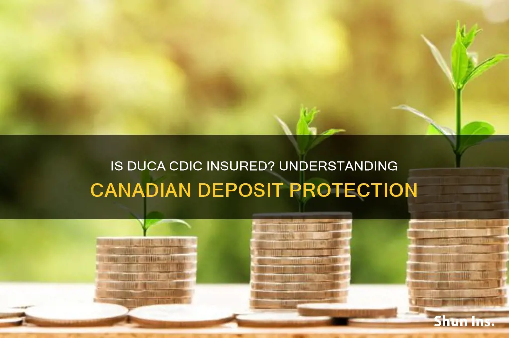is duca cdic insured