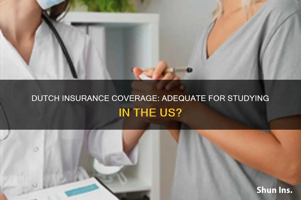 is dutch insurence enough to study in the us