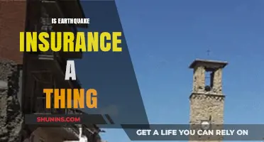 Earthquake Insurance: A Necessary Protection or Unnecessary Expense?