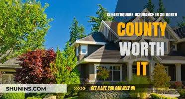 Earthquake Insurance in SD North County: Worth the Cost?