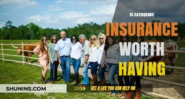 Earthquake Insurance: Worth the Cost?
