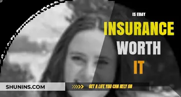 eBay Insurance: Worth the Cost?