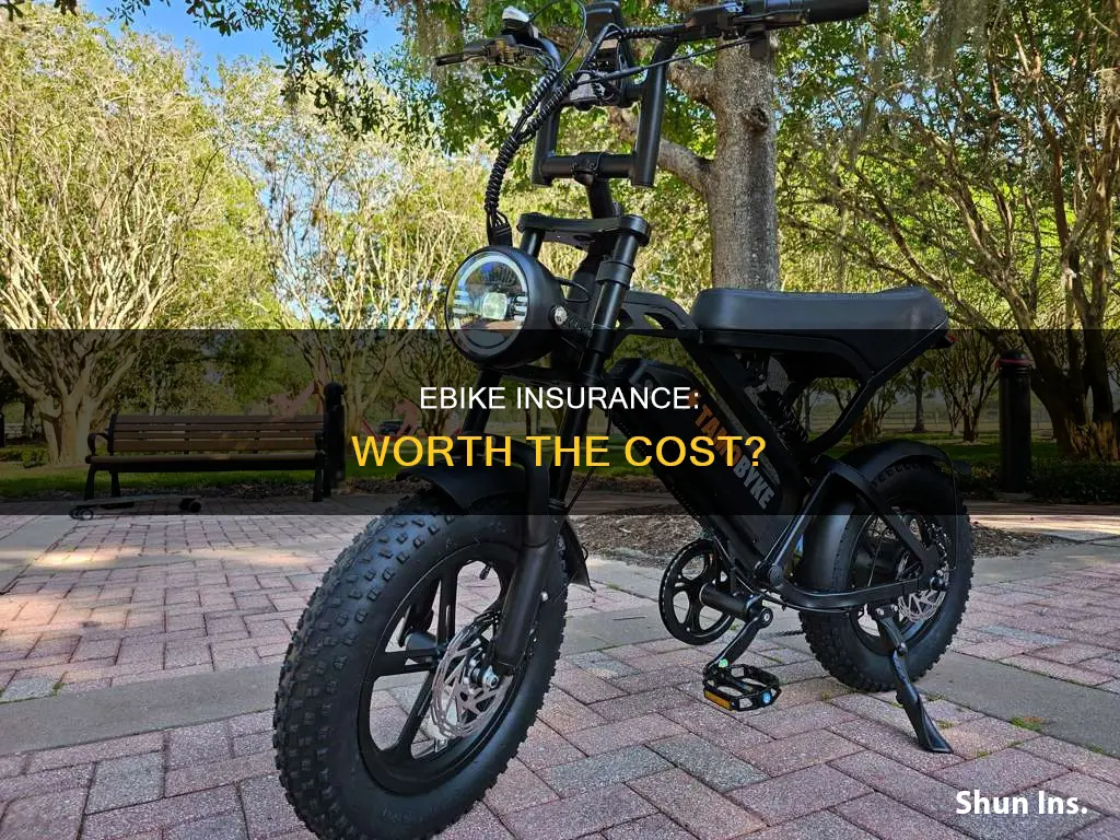 is ebike insurance worth it