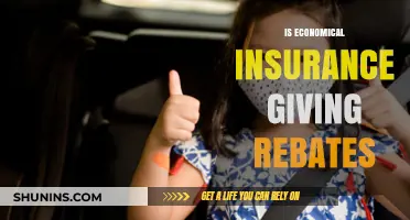 Economical Insurance Rebates: Are Policyholders Receiving Financial Relief?