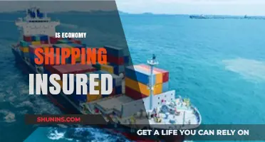 Is Economy Shipping Insured? Understanding Coverage and Risks for Your Packages