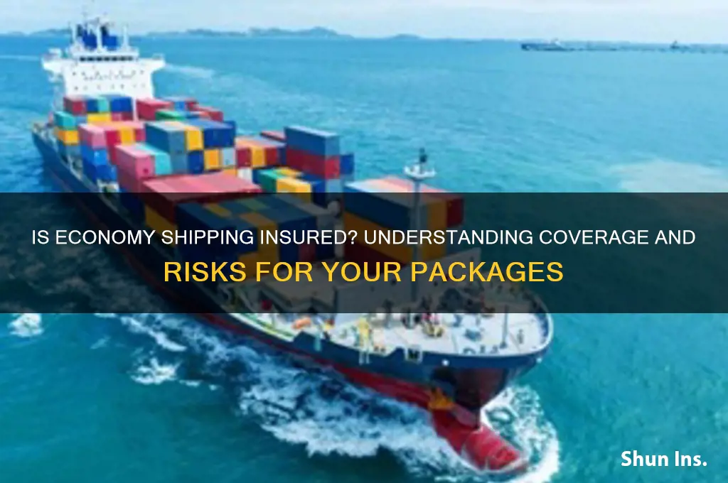 is economy shipping insured