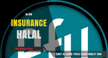Is EFU Insurance Halal? Exploring Islamic Compliance in Policies