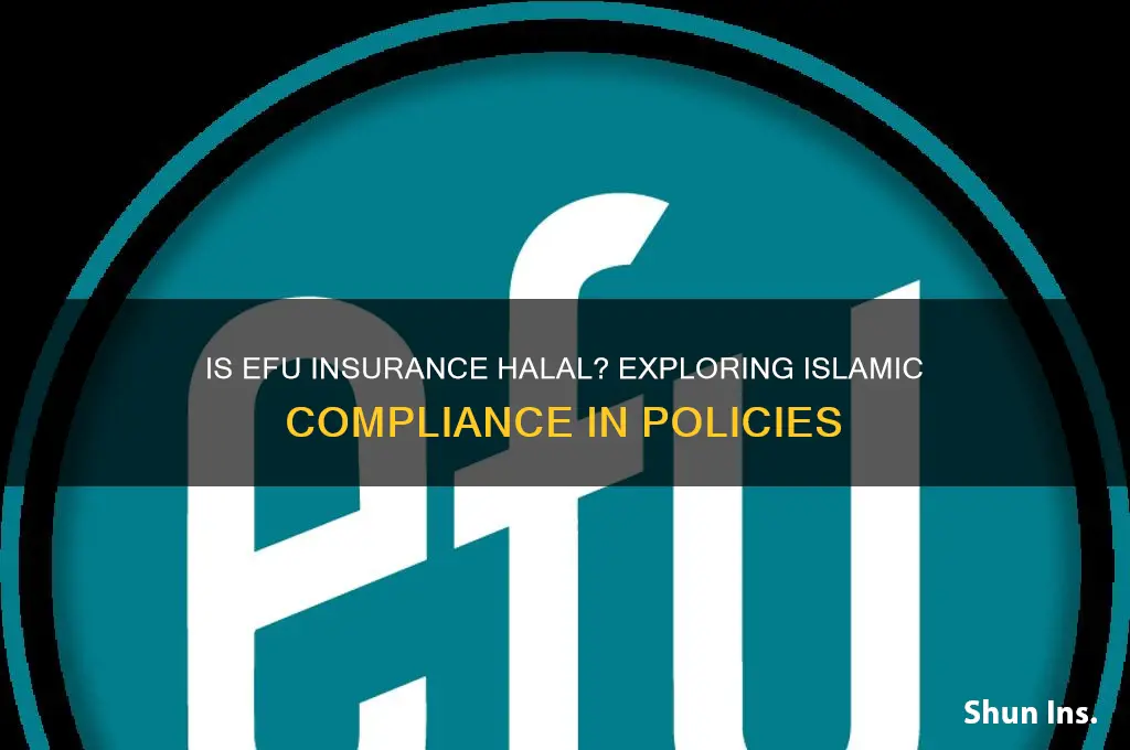 is efu insurance halal