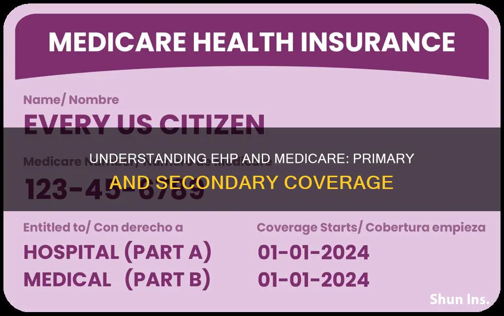 is ehp a primary insurer and medicare secondary