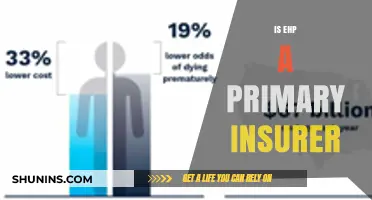 Understanding EHP's Role: Is It a Primary Insurer or Not?