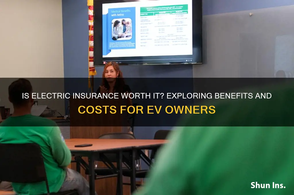 is electric insurance