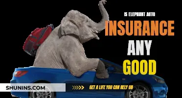 Elephant Auto Insurance: Is It Worth the Hype?